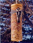 peanut feeder