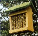 suet feeder