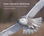 One Snowy Winter