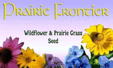 Prairie Frontier Banner