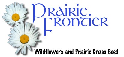 Wildflower and prairie grass seed by Prairie Frontier