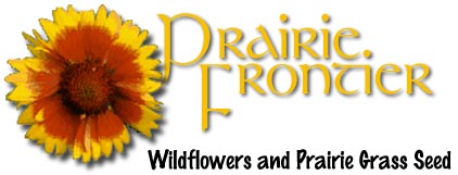 Prairie Frontier Banner