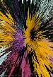 Explode
